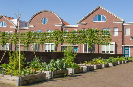 How to Start an Urban Farm Image